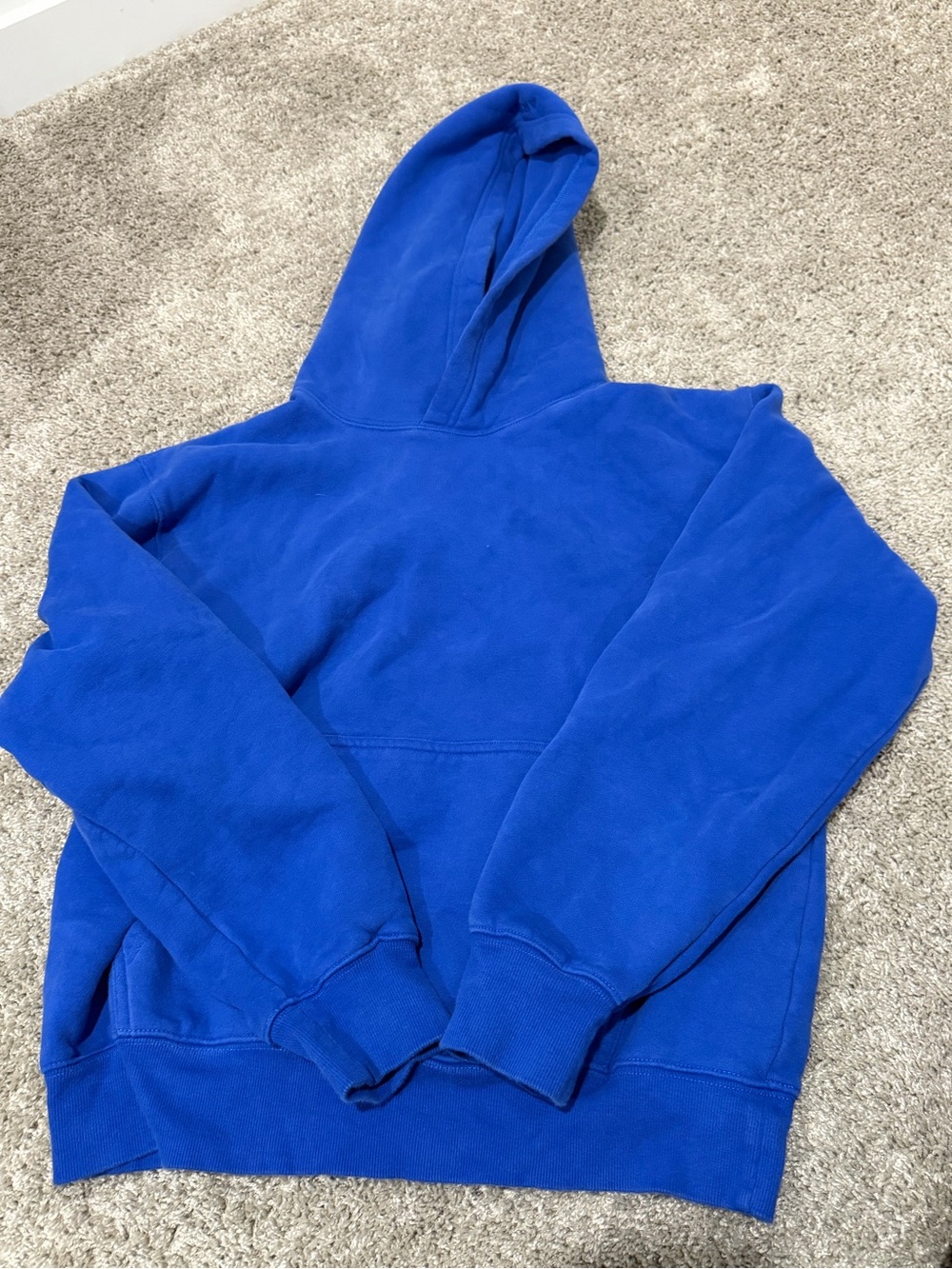 Aritzia fleece hoodie